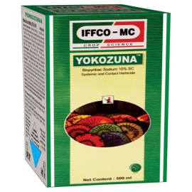 Yokozuna 600ml